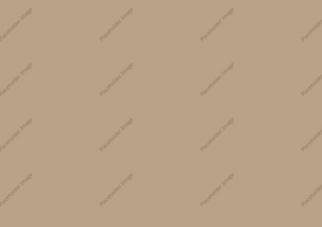 image_alt_text